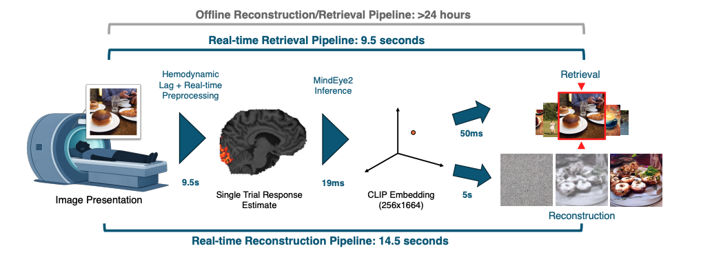 Reading Minds (Almost): Scientists Just Reconstructed What Someone Sees from Their Brain